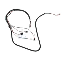 Arnés de cableado personalizado automotriz Ensamblaje de cable multinúcleo con conectores para Módulo de Control de sensor ECU de coche OEM ODM