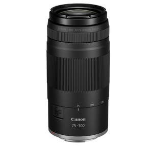 เลนส์ C RF 75-300 มม. F/4-5.6 เลนส์ RF 75-300 มม. F/4-5.6 - Product Image 6