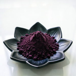Extrait de Myrtille Anthocyanes 25% Glycosides de Proanthocyanidine 30-36% Poudre Violet Foncé - Product Image 2