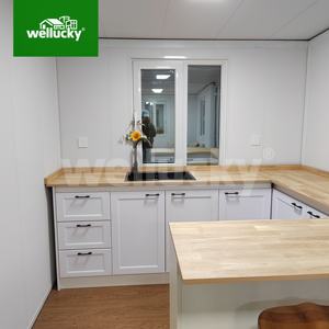WELLUCKY Maison préfabriquée <span class=keywords><strong>de</strong></span> style moderne <span class=keywords><strong>de</strong></span> luxe, conteneur extensible, villa en bois miniature bon marché, maison <span class=keywords><strong>de</strong></span> vacances, cabane, hôtel, maison conteneur - Product Image 5