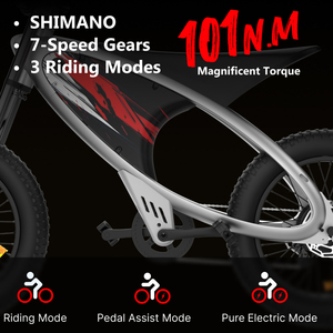 Bicicleta Eléctrica Todoterreno 2026, Precio de Fábrica, Fast Mountain Fatbike 1000w, Neumáticos Anchos, para Adultos, Motor Q3, Conduce en Cualquier Terreno - Product Image 3