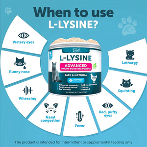 L-Lisina Taurina Pó Suplemento para Gatos 900mg por porção Suporte Imunológico Saúde Respiratória Narizes Corridos Olhos Aquosos Olho Frio - Product Image 3