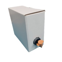 Sac BIB 3L avec valve, en PE aseptique, impression en héliogravure, épaisseur personnalisée, délai de livraison court, qualité alimentaire jetable