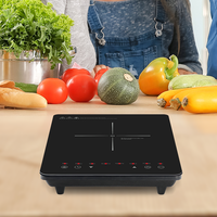 Plaque chauffante électrique à brûleur unique Portable 2000W plaques de cuisson à induction cuisinière électrique multifonction CE CB certificat cuisinière