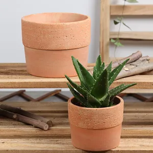 Personalizzata del commercio all'ingrosso di vendita calda a buon mercato coperta piante succulente planter vasi di ceramica su ordinazione per il giardino