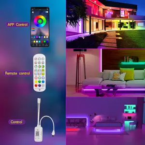 Hoge Kwaliteit Smart Wifi Led Licht Strip12V 24V 5M Rgb Outdoor Flexibele 2835 5050 Smd Rgbic Waterdichte Led strip Verlichting