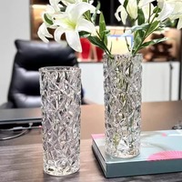 Grand vase en verre épaissi créatif, vase hydroponique minimaliste moderne pour la maison
