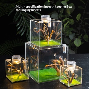 Caja de Cría de Acrílico para Insectos y Arañas con Lámpara LED y Orificios de Alimentación para Mantis, Gafanhotos, Reptiles e Insectos Cantores - Product Image 4
