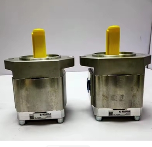 Pompe à engrenages interne haute performance EIPC EIPC3 EIPC5 EIPC6 EIPC6-125RA23-11, Pompe hydraulique EIPC3-063RA26-10, Eckerle EIPC5-080RA23-10 EIPC6 G - Product Image 3