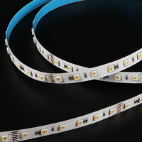 Harga Pabrik Grosir 18W/M 24V 12mm Smart Smd 5050 Led Rgb Led Smart Light Strip Lights Rgb+W+WH 5050 60D 5in1 Warna 5m