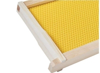 Im Angebot: Kiefernholz Langstroth Bienenstock-Rahmenset mit Kunststoff-Wachsplatten, Neue Imkereiausrüstung der Marke SP