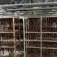 Machine de séchage professionnelle à pompe à chaleur pour viande de bœuf, saucisses, poisson, fruits de mer, légumes, à économie d'énergie, certifiée CE