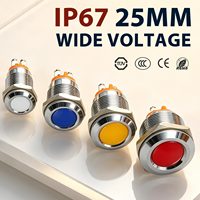Lumière indicatrice de panneau en laiton/acier inoxydable chromé IP67 de 22 mm, borne à broches LED (rouge/vert/jaune/bleu/blanc) 12-24V