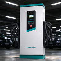Chargeur rapide DC pour centrale solaire, station de recharge pour véhicules électriques à double connecteur avec écran tactile, lecteur de carte, IP54, utilisation en extérieur