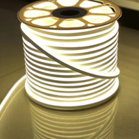 Cuerda de Luz LED para Exteriores AC IP67, Económica, Blanco Cálido, Blanco Frío, Amarillo Dorado, 220v, 8x16mm, Rollo de 100m, Luz LED de Neón Flexible de 220v