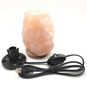 Шнур питания переменного тока с двумя контактами стандарта США и гнездом IEC, патрон E12 для соляной лампы, бытовой техники, с диммером 1А - Product Image 1