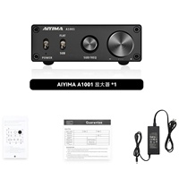 A1001 Profesyonel Mini 100W Subwoofer Amfi Sınıf D DSP HiFi Mono Dijital Yüksek Güçlü Alüminyum Alaşımlı Ev İçin