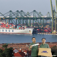 Top1 Shipping Company FBA Agent d'expédition transitaire de fret maritime de la Chine vers les États-Unis, le Royaume-Uni, le Canada et l'Australie