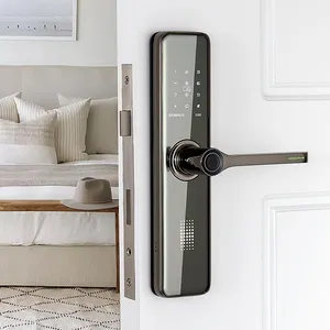 Bold Euro Mortise Keyless Connected Nuki Samsung Mijia Same Style August Smart Door Lock