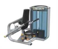 Équipement de fitness intérieur en acier personnalisable de haute qualité RUNTEK pour adultes, extension de jambes réglable pour l'entraînement de la poitrine et des bras