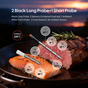 <span class=keywords><strong>Thermomètre</strong></span> de <span class=keywords><strong>barbecue</strong></span> intelligent <span class=keywords><strong>INKBIRD</strong></span> INT-33-BW avec connexion Wifi et Bluetooth pour <span class=keywords><strong>barbecue</strong></span> à gaz, Kamado, Green Egg - Product Image 3