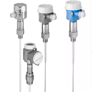 Original Kapazitiver Füllstandmesser E+H FMI21 FMI51 FMI52 Flüssigkeitsgrenzschalter FTL51 FT152 FTL50 FTL51B FTL51C FTL62 FTL64 FTL70 - Product Image 1