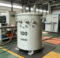 Transformateur de distribution monophasé monté sur poteau, 100 kVA, immergé dans l'huile, 480 V, 110 V/220 V, 50 Hz, D11