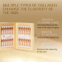 Ampoule liquide de collagène et de niacinamide en gros : hydrate, améliore le relâchement cutané, réduit les ridules, soin du visage
