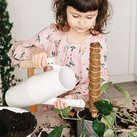 Poteau de mousse naturel empilable pour plantes Monstera