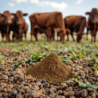 Suppléments de qualité alimentaire Produits d'engraissement et de gain de poids du bétail Vache Mouton Bovins Chèvre Stimulateur de croissance Protéines animales