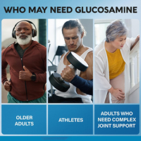Capsules de Glucosamine, Chondroïtine, Collagène et MSM pour la Flexibilité Articulaire, 120 Comprimés, Force Maximale, Marque Blanche, Vente en Gros