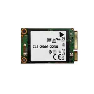 Server Solid State Drive M.2 Nvme2230 Solid State Drive CL1-256G-2230 - Product Image 1
