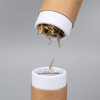 Boîte à thé en vrac personnalisée biodégradable, tube en papier imperméable de qualité alimentaire, emballage pour thé vert, thé noir