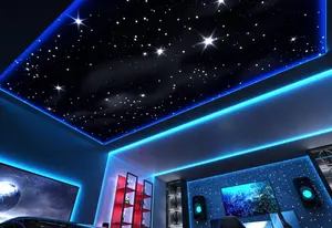 CUSTOM FIBRE OPTIC STAR CEILINGS For Home Theatres Or Living Room Fiber Optic Light Ceiling Panels