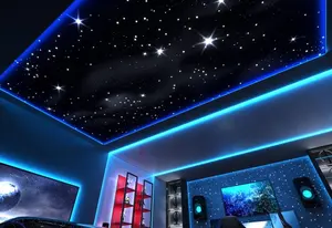 PLAFONDS EN ÉTOILES À FIBRE OPTIQUE PERSONNALISÉES pour Home cinéma ou salon, panneaux de plafond lumineux à fibre optique