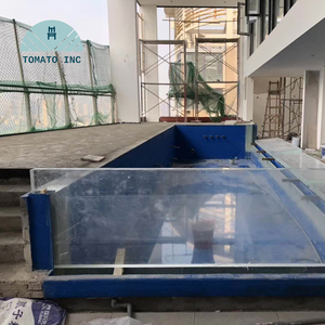 Fábrica de Piscinas Acrílicas TOMATO Ofrece Paneles Acrílicos Personalizados para Formas de Piscina Únicas, Diseño Moderno, Ecológico y Duradero - Product Image 6