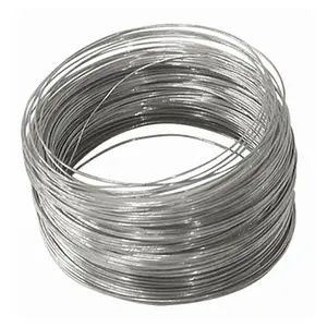 Wire Factory Sales Champion AISI 304 316 410 430 0.1mm 0.7mm Stainless Steel Wire