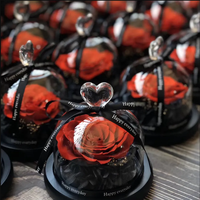Boîte cadeau de la Saint-Valentin Belle Enchanted avec rose naturelle, fleurs éternelles, rose éternelle dans un dôme en verre avec LED