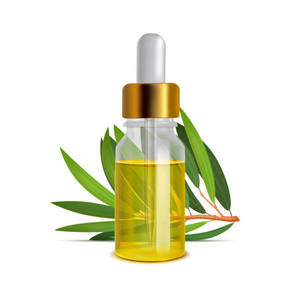 Huile essentielle d'arbre à thé |   100% Naturel Pur |   Extrait d'herbes sauvages |   Grade |   CAN/Bouteille/Fût |   Exportateur en gros de marchandises en vrac en Inde - Product Image 6