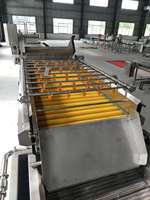 Guave puree making plant guave jam verwerking machine baal saus productielijn