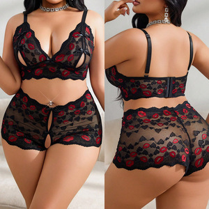 Ensemble de lingerie sexy et respirant 2 pièces, sous-vêtements sans couture écologiques, broderie 3D, spandex, dentelle fine transparente, 4XL, vente en gros ODM - Product Image 4