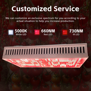 אנרגיה הידרופוניקה חיסכון באנרגיה מלאה ספקטרום מסחרי הוביל לגידול אור-etel - Product Image 3