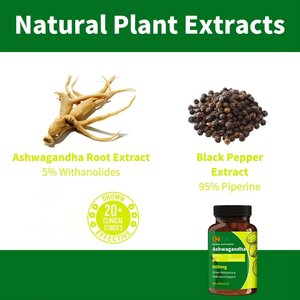 Extrait d'Ashwagandha 600mg à 5% de Withanolides avec BioPerine pour le soutien anti-stress, 90 gélules – Meilleure vente - Product Image 6