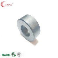 High-Performance Factory Price Injection Molded Toroidal Ferrite Cores for Power Systems