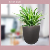Pot de fleurs auto-arrosant mural, panier de plantation en plastique pour coin mural, pot à absorption automatique d'eau pour terreau ou hydroponie