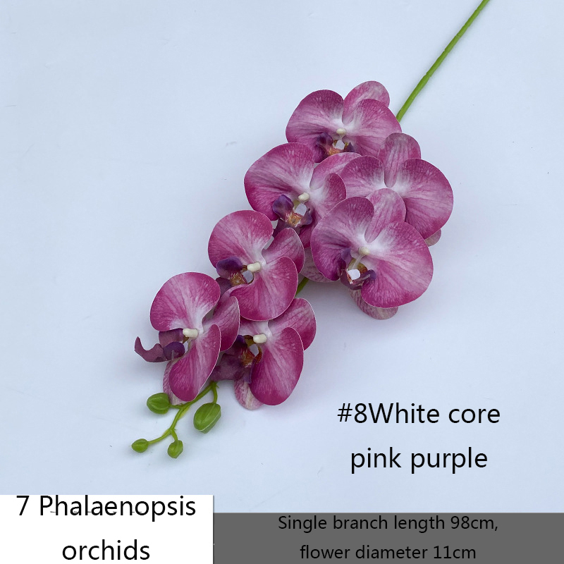 7 têtes# 8 Blanc Noyau Rose Violet