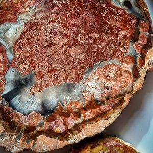 Nouvelle Tendance : Sous-verres en bois pétrifié de taille irrégulière, pierres naturelles et cristaux pour l'artisanat en cristal - Product Image 5