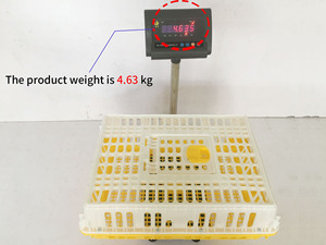 Vịt chim bồ câu gia cầm Giao thông vận tải Crate gà doanh thu hộp cho trang trại Sử dụng nhựa Chick thiết bị vận chuyển - Product Image 6
