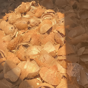 Cáscara de Coco Duradera de Primera Calidad para Manualidades y Decoración - Product Image 1