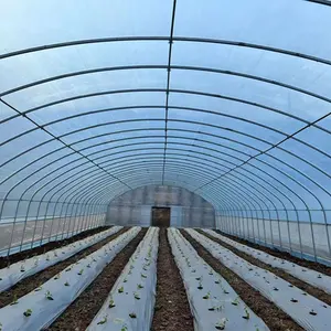 Greenhouse Tunnel Film Rain Cover Large Size For Agricultural Use Supplier Offer